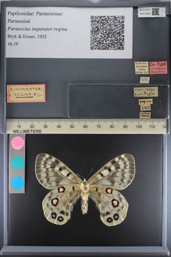 Media type: image;   Entomology 210248